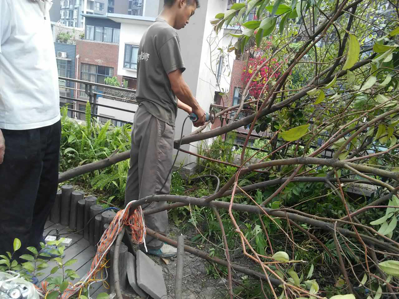 屋頂花園怎么裝修，樓頂花園裝修注意事